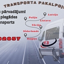 Passenger minibus transport to Europe