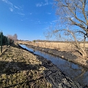 Riverbed cleaning from overgrowth