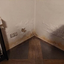 Проверка влажности от компании Damp Detectives