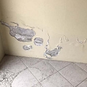 Damp Detectives sienu diagnostika