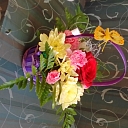 Dahlia, flower shop, flower bouquets