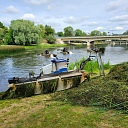 Cleaning of aquatic plants