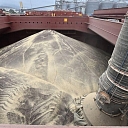 Purchase of grains