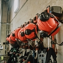 Young growth care and forest management in Kurzeme