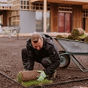 ERBE offers professional lawn laying and garden landscaping services