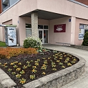 Elektropreču tirdzniecība