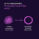 От хаоса к результатам