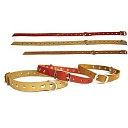 Leather collars for dogs