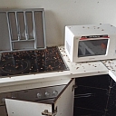 Professional pest control