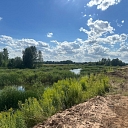 Cleaning up a water body