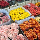 Торговля цветами