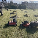 Earing of the lawn_verticulation