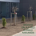 Zālājs bez kurmju rakumiem