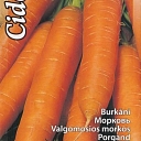 Carrot seeds