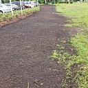 Lawn seeding