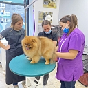 Gruming School Learning Center