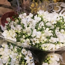 Flowers for celebrations