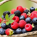 Корзина с лесными ягодами