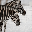 Сигулдский зоопарк