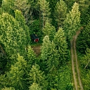 Purchase of forest property