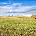 acquisition of agricultural lands