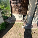 Yard improvement