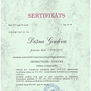Certificate of professional competence - ACCOUNTANT-AUDITORS
