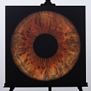 Высококачественная фотография глаза на покраске металла
