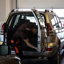 Interior, seat dry cleaning