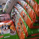 Dog food