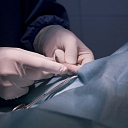 Complicated surgery for animals