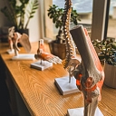 Clinic services