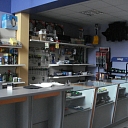 Repair of minibuses in Preili