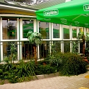 Cafes bars restaurants, Talifa restaurant