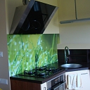 Кухонная стеклянная панель с фотопленкой "Трава"