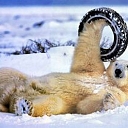 Tyre assembly