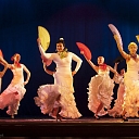 Deju apmācība: flamenko, vēderdeja