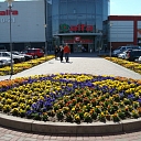 




horticultural company