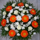 Цветы в Броцени