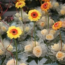 Flower bouquet ordering