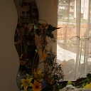 Floristika Talsos