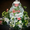 Flower arrangements for room decoration in Zemgale