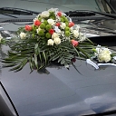 Wedding car design in Jelgava