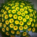 Mourning wreaths rich in flowers in Jelgava