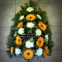 Funeral ostriches to order in Zemgale