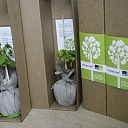 Ligo gifts, Midsummer gifts