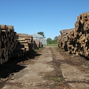 Sawn timber