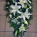 Funeral ostriches in Ogre