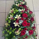 Funeral ostriches in Ogre