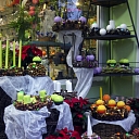 Цветочный салон в Орге "Dadzis"
